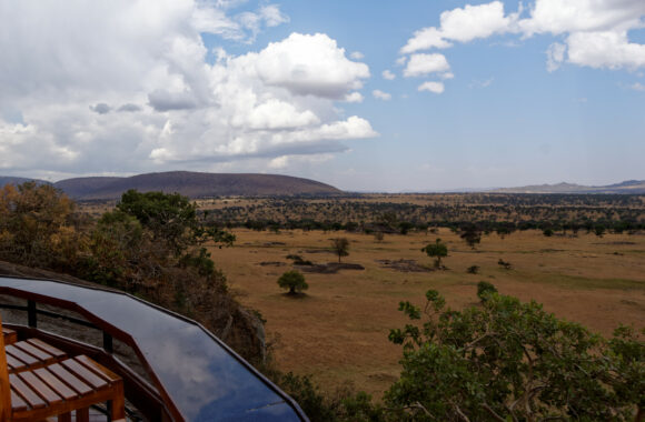 Lobo Wildlife Lodge